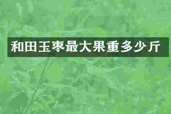 和田玉枣最大果重多少斤
