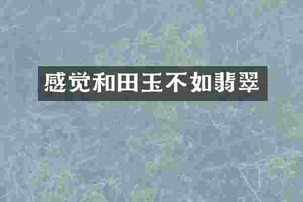 感觉和田玉不如翡翠