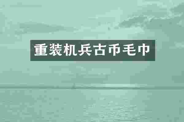 重装机兵古币毛巾