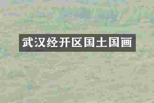 武汉经开区国土国画