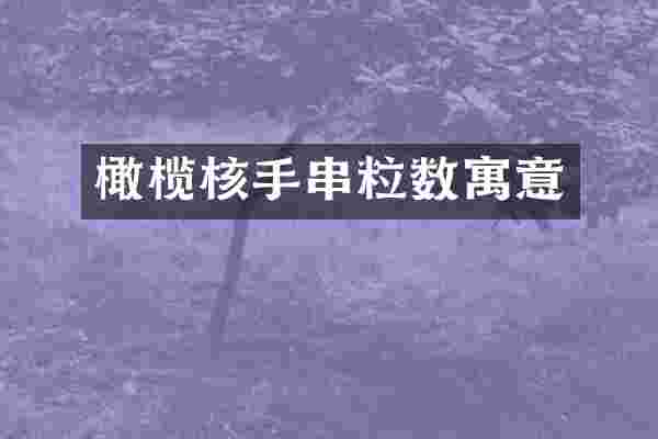 橄榄核手串粒数寓意