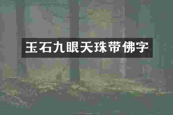 玉石九眼天珠带佛字