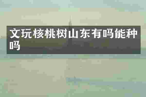 文玩核桃树山东有吗能种吗