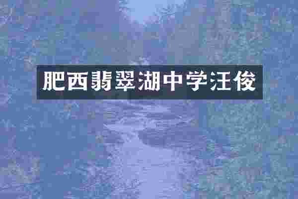 肥西翡翠湖中学汪俊