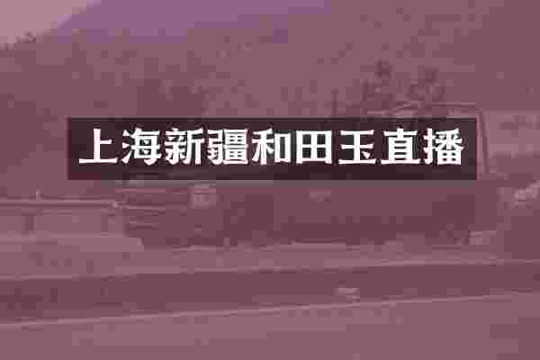 上海新疆和田玉直播