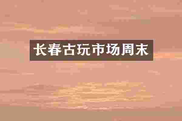 长春古玩市场周末