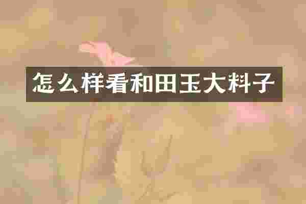怎么样看和田玉大料子