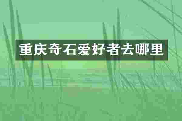重庆奇石爱好者去哪里