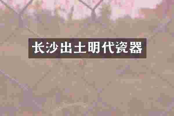 长沙出土明代瓷器