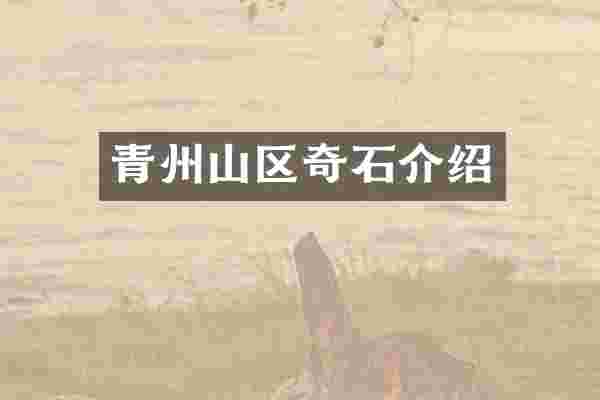 青州山区奇石介绍