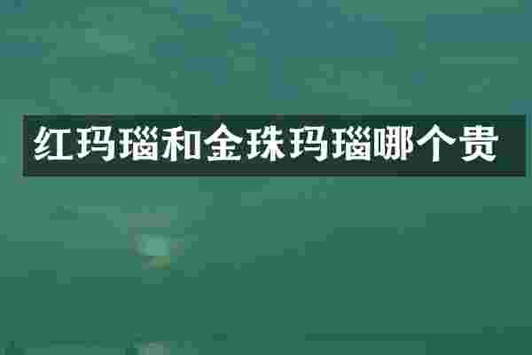 红玛瑙和金珠玛瑙哪个贵
