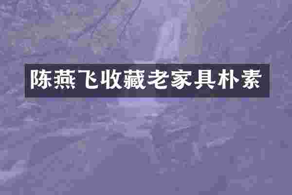 陈燕飞收藏老家具朴素