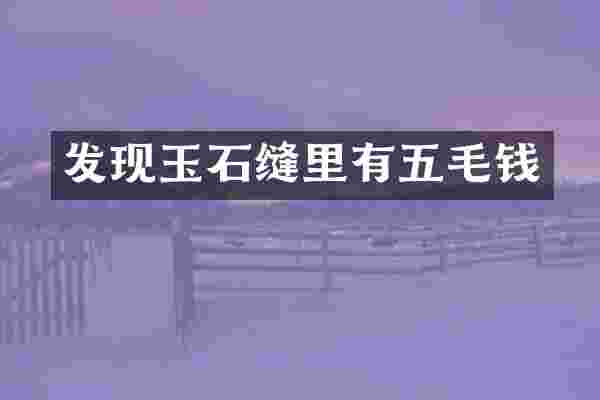 发现玉石缝里有五毛钱