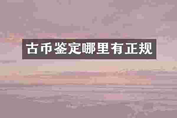 古币鉴定哪里有正规