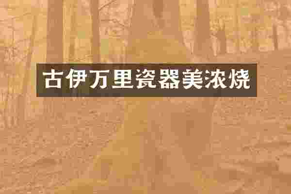 古伊万里瓷器美浓烧