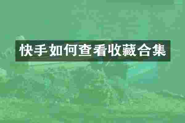 快手如何查看收藏