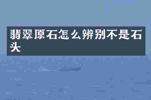 翡翠原石怎么辨别不是石头