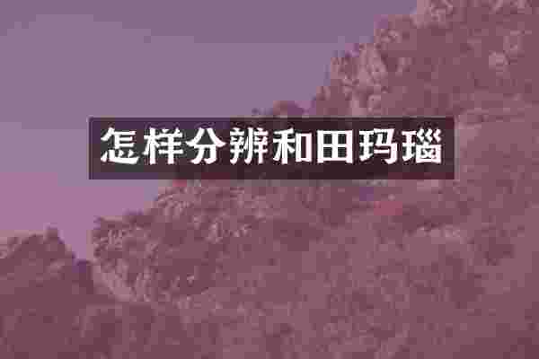怎样分辨和田玛瑙