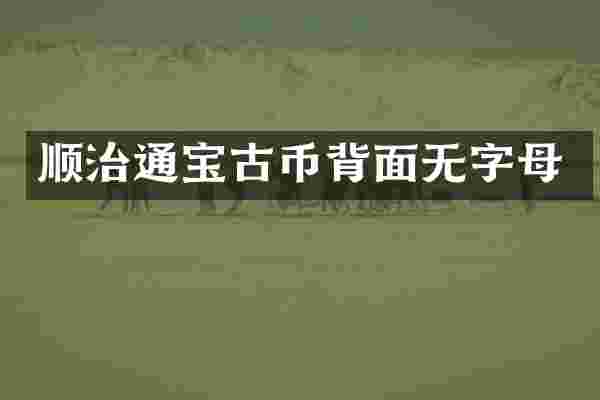 顺治通宝古币背面无字母