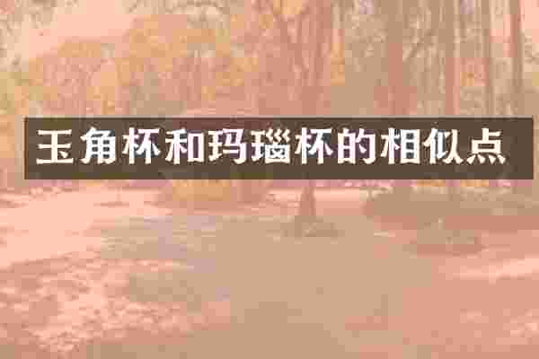 玉角杯和玛瑙杯的相似点