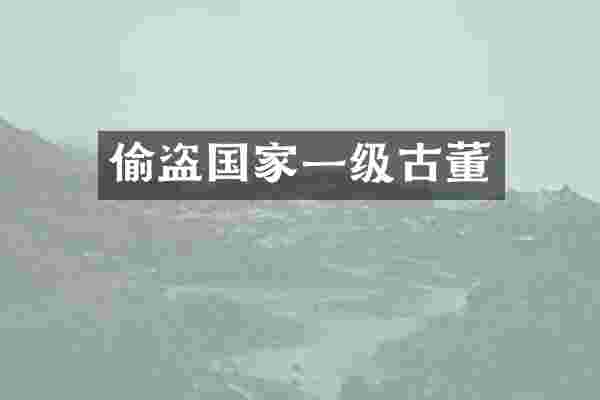 偷盗国家一级古董