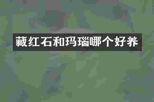 藏红石和玛瑙哪个好养
