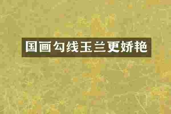 国画勾线玉兰更娇艳
