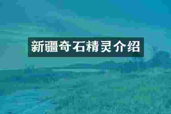 新疆奇石精灵介绍