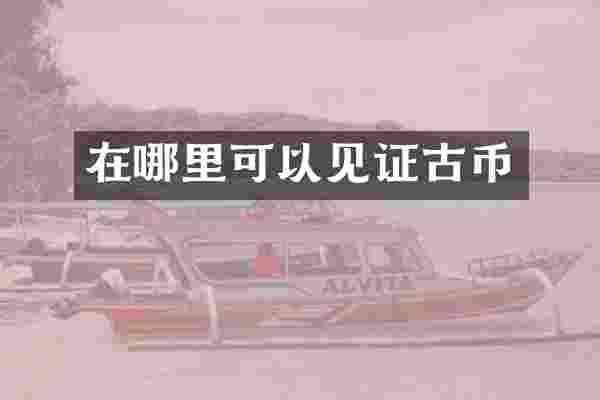 在哪里可以见证古币