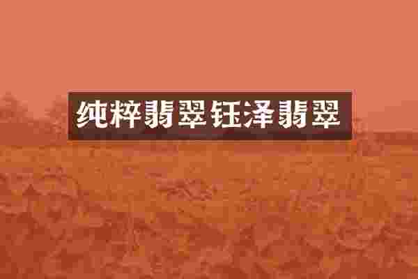 纯粹翡翠钰泽翡翠