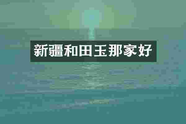新疆和田玉那家好