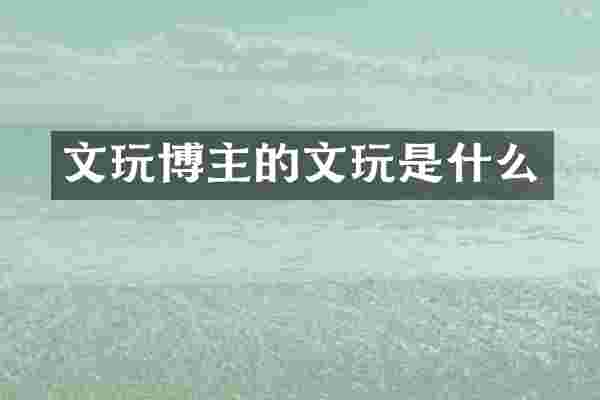 文玩博主的文玩是什么