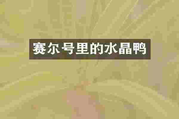 赛尔号里的水晶鸭