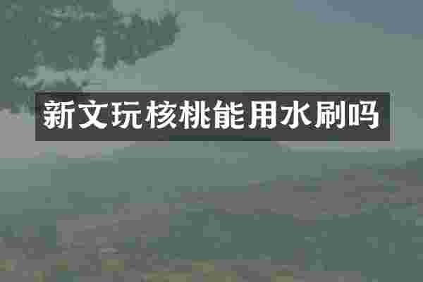 新文玩核桃能用水刷吗