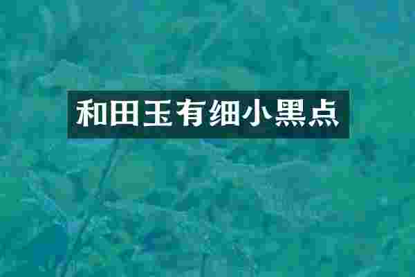 和田玉有细小黑点