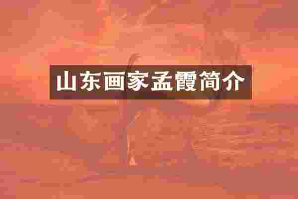 山东画家孟霞简介