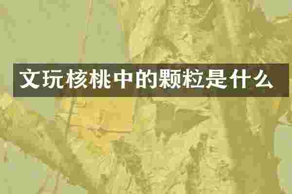 文玩核桃中的颗粒是什么