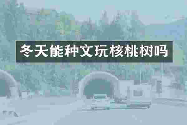 冬天能种文玩核桃树吗