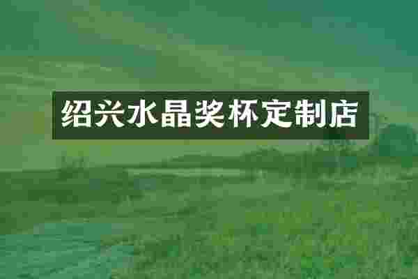 绍兴水晶奖杯定制店