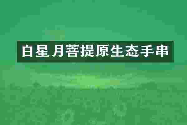 白星月菩提原生态手串