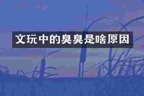 文的臭臭是啥原因