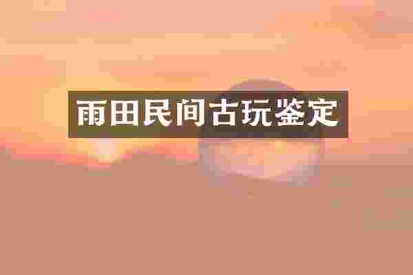 雨田民间古玩鉴定