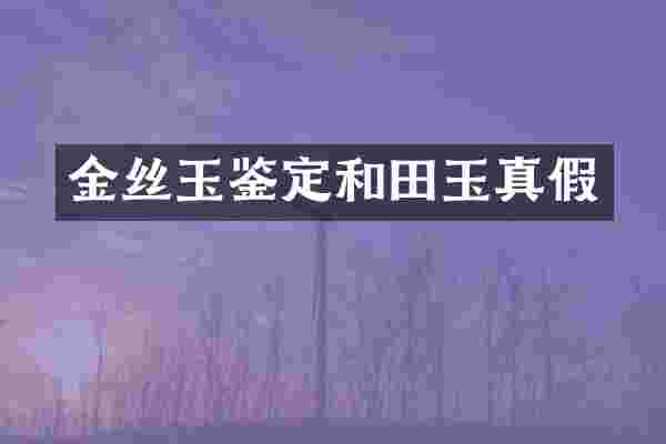 金丝玉鉴定和田玉真假