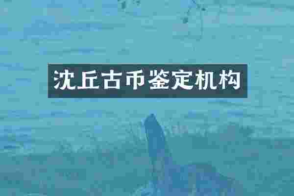 沈丘古币鉴定机构