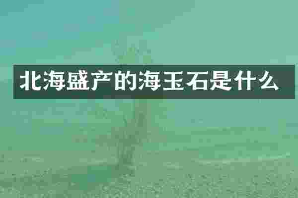 北海盛产的海玉石是什么