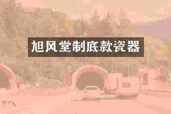旭风堂制底款瓷器