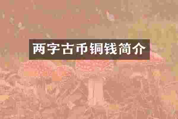 两字古币铜钱简介