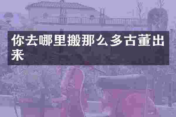 你去哪里搬那么多古董出来