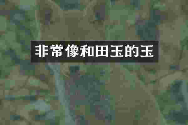 非常像和田玉的玉
