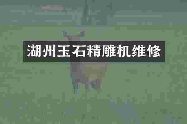 湖州玉石精雕机维修